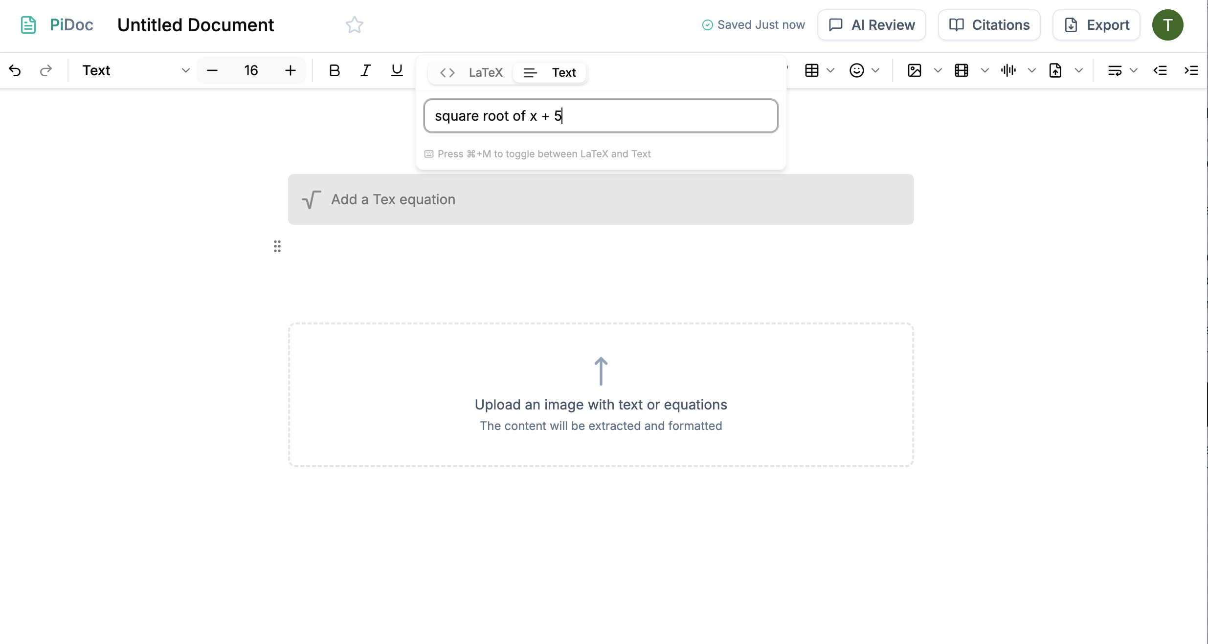 PiDoc: Scientific Document Editor Interface